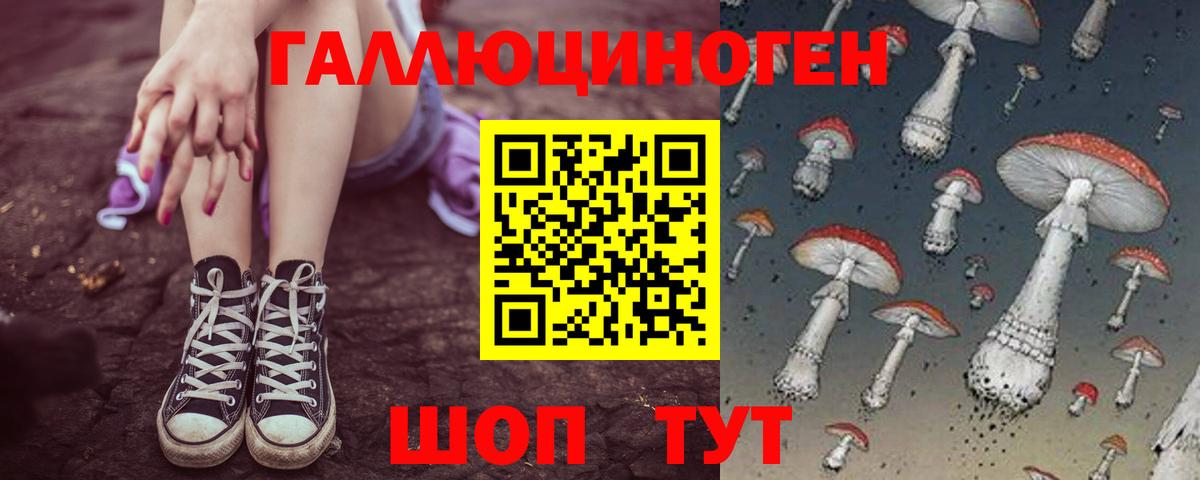 Псилоцибиновые грибы Psilocybine cubensis Рубцовск